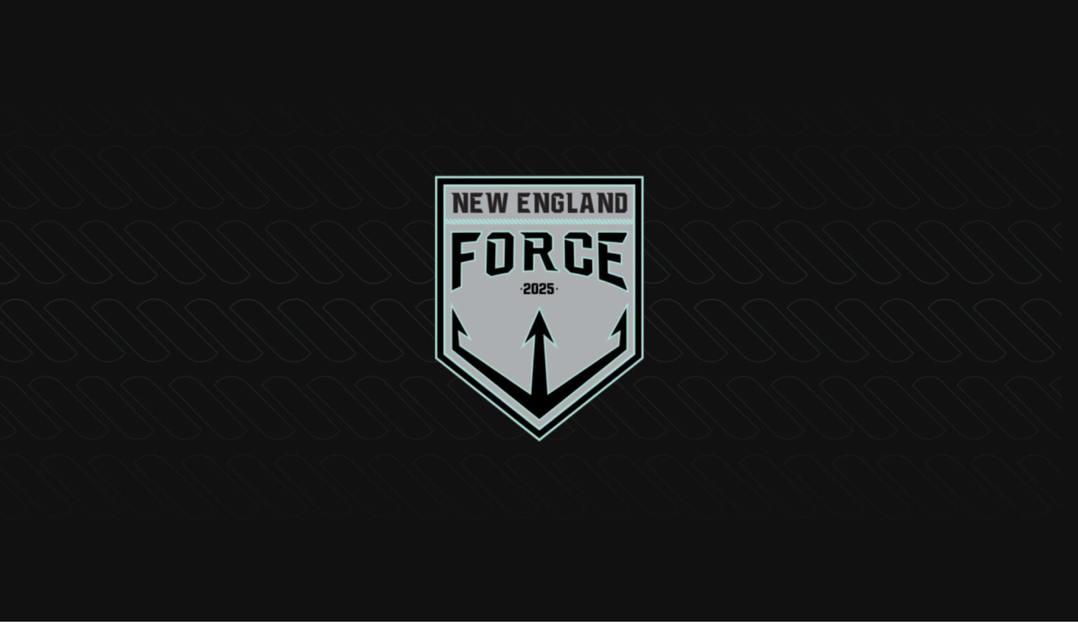 new-england-force-card